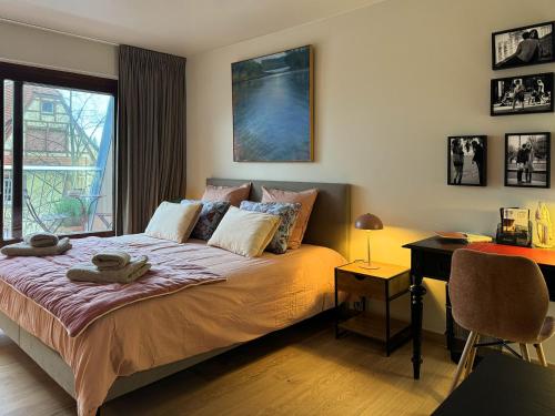- une chambre avec un lit, un bureau et une fenêtre dans l'établissement Le Petit Zix - Cosy et Terrasse, Petite France, à Strasbourg