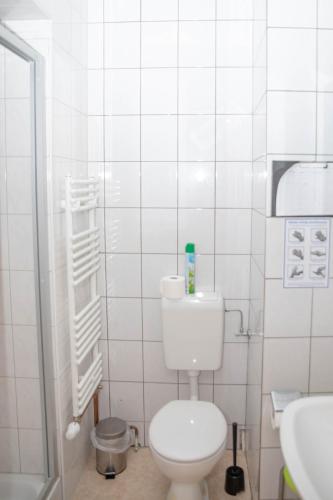 a white bathroom with a toilet and a sink at Mabri Apartments Plauen in Plauen
