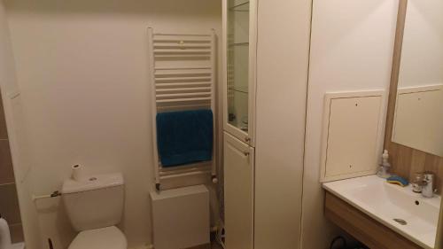 une salle de bain blanche avec des toilettes et un lavabo dans l'établissement F2 Idéal aux Portes de Paris, à Alfortville