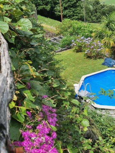 a garden with purple flowers and a blue pool at Oasis di Riposa in Semione