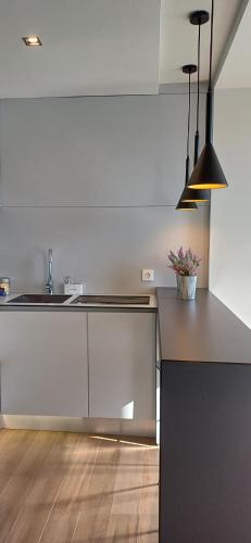 Dapur atau dapur kecil di RestOnDouro Oporto Flat