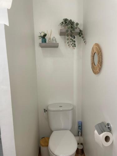 a white bathroom with a toilet and a toilet paper roll at Studio Charme et cosy à Sainte-Luce Martinique in Sainte-Luce