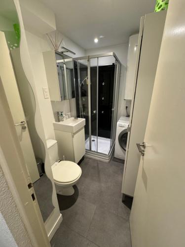 Ένα μπάνιο στο Appartment 4 personnes La Bresse