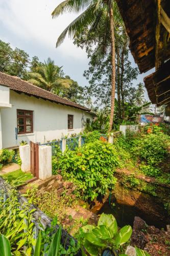 a house with a palm tree and a yard at Casa Camotim in Madkai