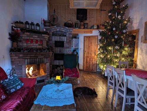 a living room with a christmas tree and a fireplace at Piecówka Wysokie Kaczki in Kaczkowo