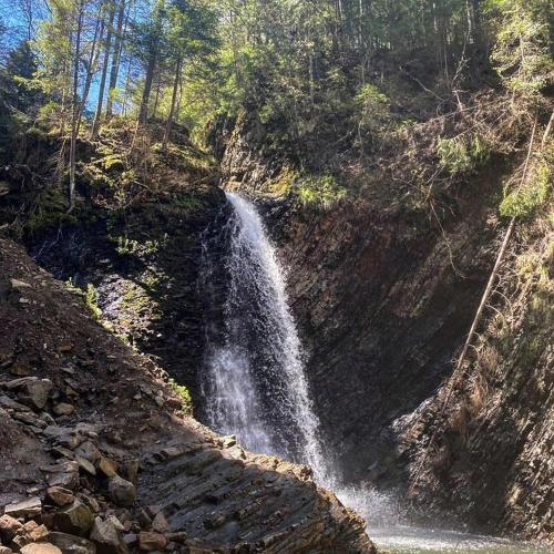 a waterfall on the side of a mountain with trees at Hotel Dykyi Med in Tatariv
