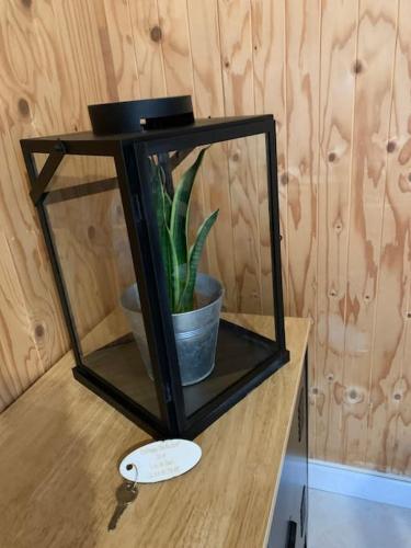 a black stand with a plant in a pot on a table at Cottage 12A jusque 4 pers Bulle Der Lac du Der in Giffaumont