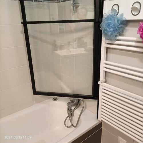 a bathroom with a shower and a bath tub at L'escale N°13 :Appartement standing dans résidence in Brest