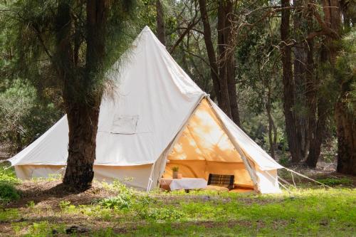 Fotografie z fotogalerie ubytování Wilderstay Glamping - Yanchep National Park v destinaci Yanchep