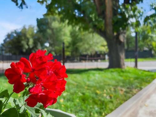 Κήπος έξω από το Quiet Garden Sanctuary home