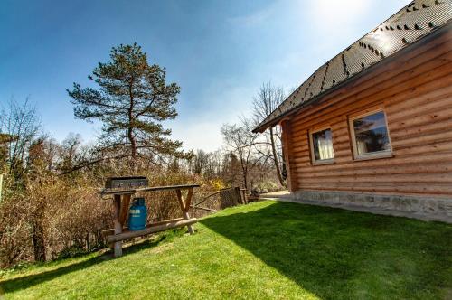 a wooden house with a grill next to a yard at Log House Natura in Radovljica