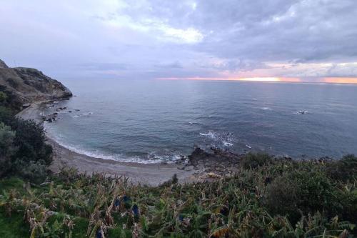 a view of a beach with the ocean at Uğrak Home in Işıklı