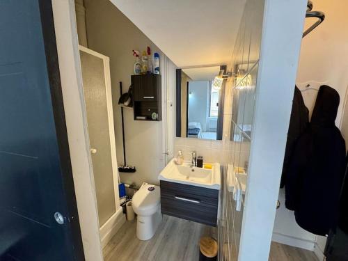 un bagno con lavandino, WC e specchio di Studio Océan Bleu a Les Sables-dʼOlonne