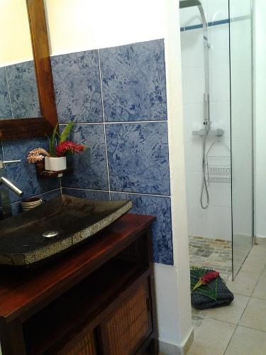 a bathroom with a sink and a shower at RESIDENCE BLEU MARINE (Appartement Bleu Océan) in Le Gosier