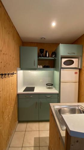 a green kitchen with a stove and a sink at Cottage 12A jusque 4 pers Bulle Der Lac du Der in Giffaumont