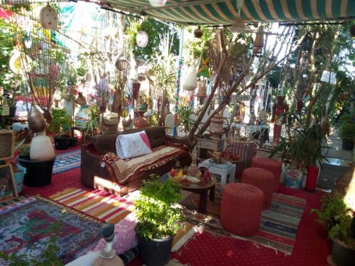 peace garden hostel & campにある庭