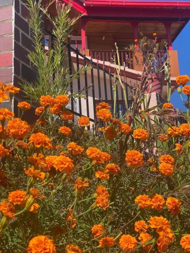 Κήπος έξω από το Shanti Kunj Home Stay R S Negi