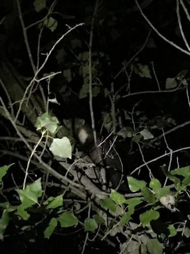 Fotografie z fotogalerie ubytování Monroser v destinaci Tremp