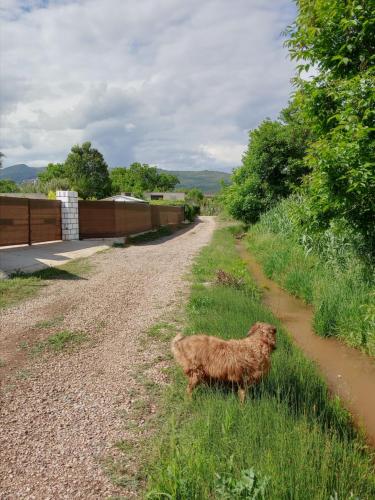 Příroda nedaleko apartmánu