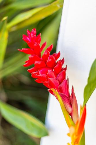 Jardín al aire libre en Gîtes de Checheti