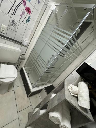 a bathroom with a glass shower and a toilet at Via Roma 257 Apartament in Cochem