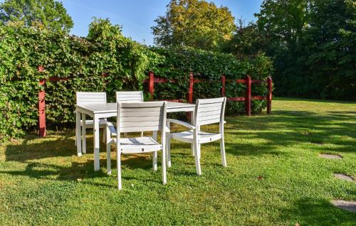 four white chairs and a table in the grass at Beautiful Home In Dalby With 2 Bedrooms And Wifi in Dalby