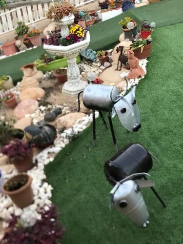 a garden with twoificialificialificialificialificialificialificialificialificialificialificialificial at סוויטות עין השמש eye sun in Arad