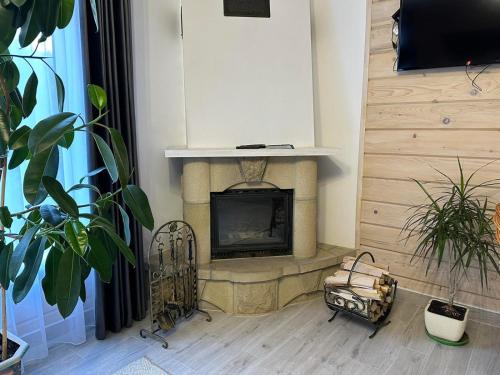 a living room with a fireplace and a tv at Hotel Dykyi Med in Tatariv