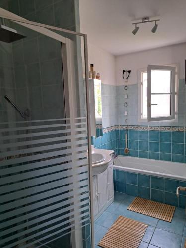 un bagno con doccia, lavandino e vasca di Chambre au coeur de la Sologne a Romorantin