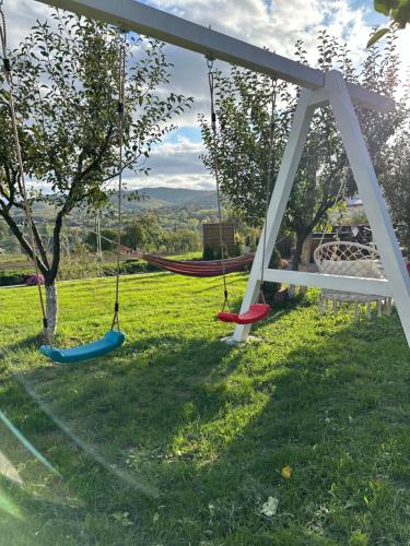 a group of swings in a grassy yard at A Green Nest in Suceava