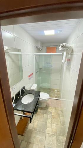 a bathroom with a toilet and a sink and a mirror at Hotel Zagonel in Chapecó