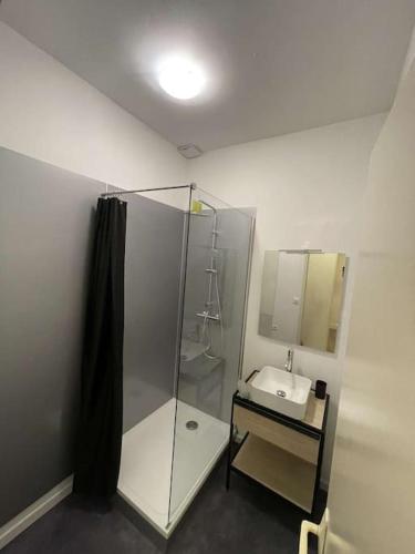 une salle de bain avec douche et lavabo dans l'établissement La Suite 82, à Montauban