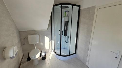 ein Badezimmer mit Glasdusche und Toilette in der Unterkunft Holiday Home Monte Fabula with Jacuzzi, Sauna and Backyard in Vučinić Selo