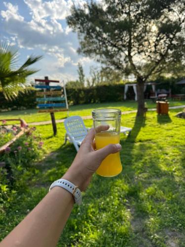 a person holding up a glass of orange juice at Complejo Turistico Los Troncos in San Rafael