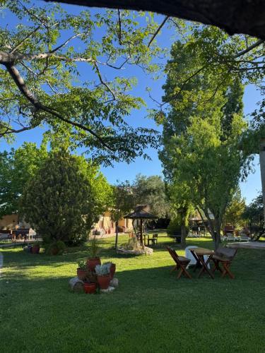 a park with picnic tables and trees on the grass at Complejo Turistico Los Troncos in San Rafael