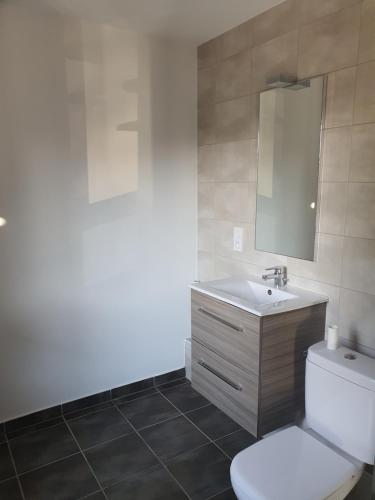 une salle de bain avec toilettes, lavabo et miroir dans l'établissement F2 Strasbourg, à Strasbourg