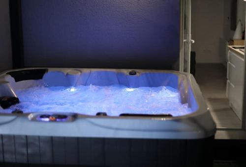 duplex chaleureux avec spa privé