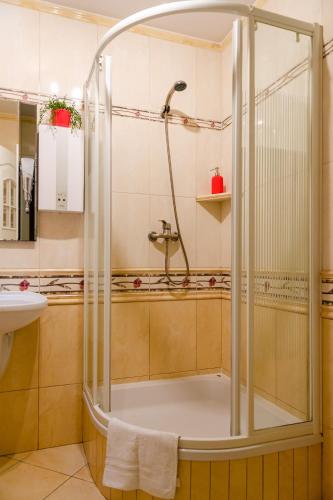 a bathroom with a shower and a sink at Apartament Deluxe in Płock