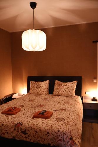 a bedroom with a bed with two trays on it at Het Broekeroord in Wezep