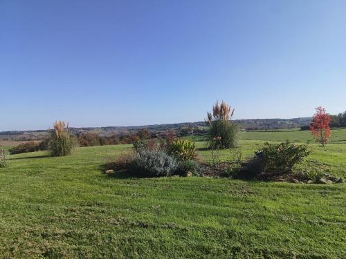 un champ d'herbe planté d'arbres au loin dans l'établissement Le Basque, le palmier exotique, à Bazas