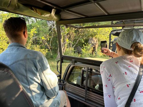 a man and woman sitting in a vehicle looking at an elephant at Ranakeliya Lodge - Yala in Yala