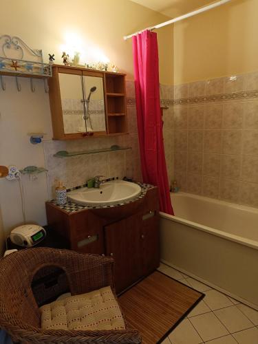 une salle de bain avec un lavabo et une baignoire dans l'établissement ISSY PORTE DE VERSAILLE Tram T2, à Issy-les-Moulineaux