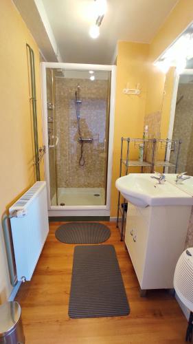 une salle de bain avec une baignoire, un lavabo et une douche dans l'établissement PARME Appt spacieux et calme plein sud, vue panoramique, à La Bresse