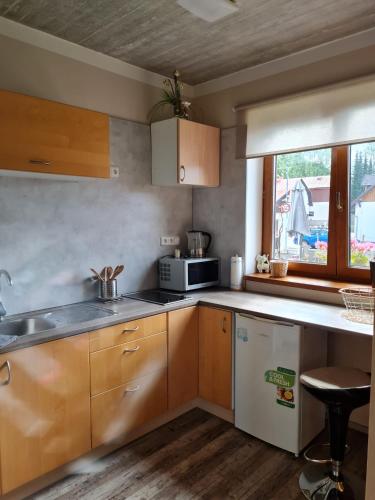 Una cocina o zona de cocina en Apartmány Kunc