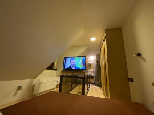 科帕奥尼克Vila Pahulja A10的客厅配有一张桌子,电视