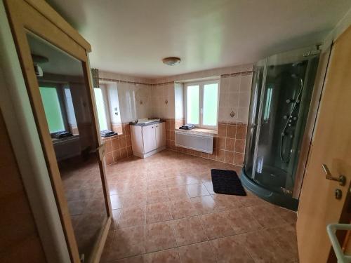 ein Badezimmer mit Dusche und Waschbecken in der Unterkunft la maison bleue in Sainte-Marie-aux-Mines