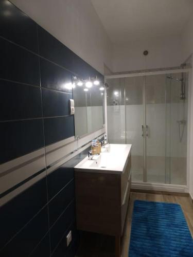 une salle de bain avec un lavabo et une douche avec un miroir dans l'établissement Maison des oiseaux, à Menou