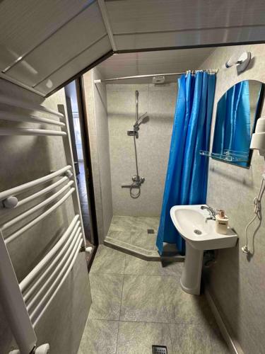baño pequeño con ducha y lavamanos en Memory- borjomi, en Borjomi