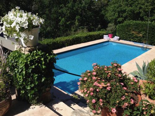 - une piscine dans un jardin fleuri dans l'établissement Bergerie de Peymeyan, à Saint-Paul-en-Forêt