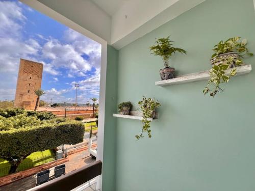 a room with two shelves with potted plants and a window at La perle de la Tour Hassan- Appartement Rabat in Rabat